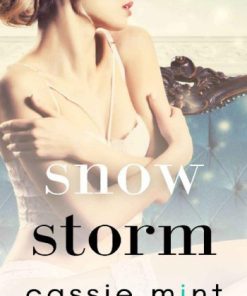 Snow Storm 1st Edition Cassie Mint